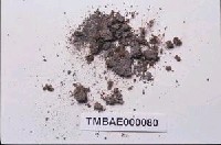 藏品(培鐵真苔)的圖片